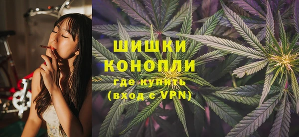ПСИЛОЦИБИНОВЫЕ ГРИБЫ Наволоки
