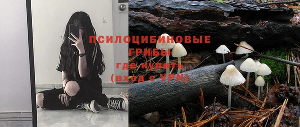 ПСИЛОЦИБИНОВЫЕ ГРИБЫ Наволоки