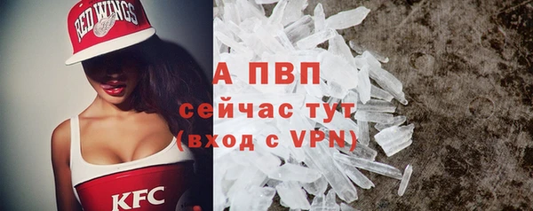 твердый Новодвинск