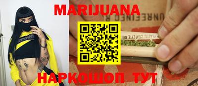 МДПВ Бийск
