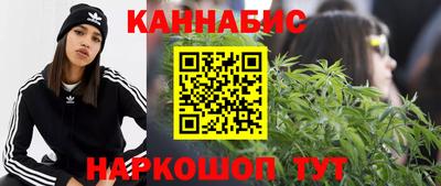 МДПВ Бийск