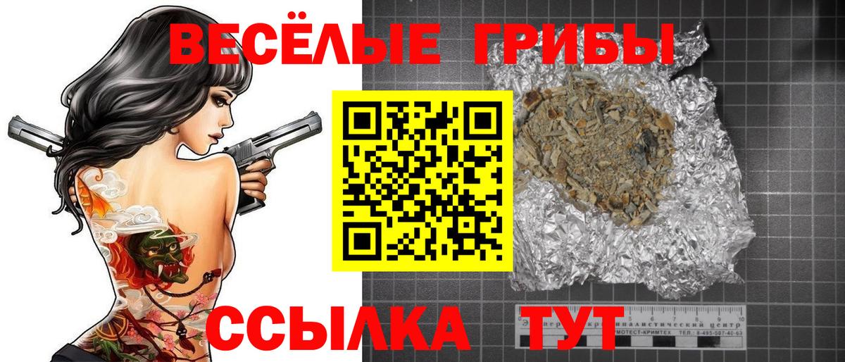 Галлюциногенные грибы Psilocybe Волжский