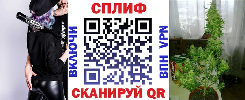 Бошки марихуана гибрид  Волжский 